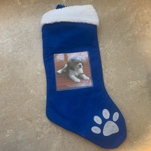 Dog stocking